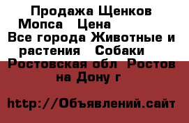 Продажа Щенков Мопса › Цена ­ 18 000 - Все города Животные и растения » Собаки   . Ростовская обл.,Ростов-на-Дону г.